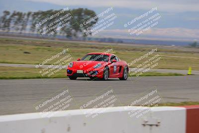 media/Mar-30-2025-Speed Ventures (Sun) [[39e6b1441d]]/Purple/Front Straight/